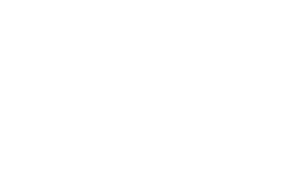 VFMS VFMS